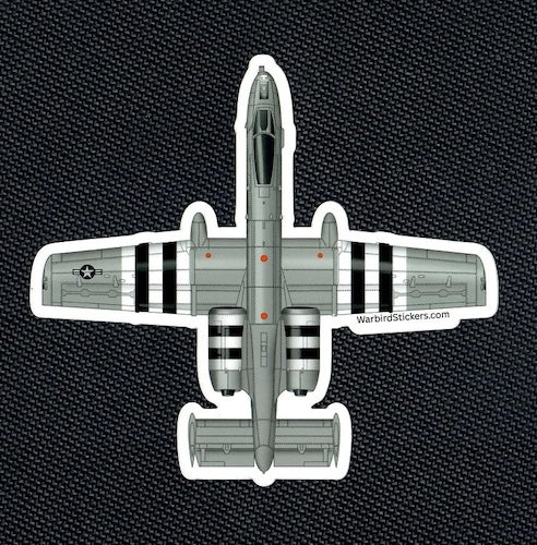 A-10 Warthog Grey w/Stripes
