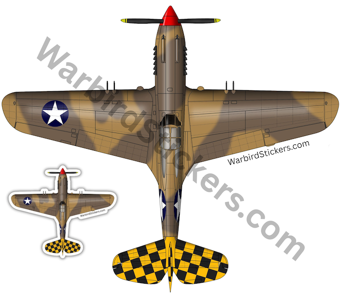 P-40