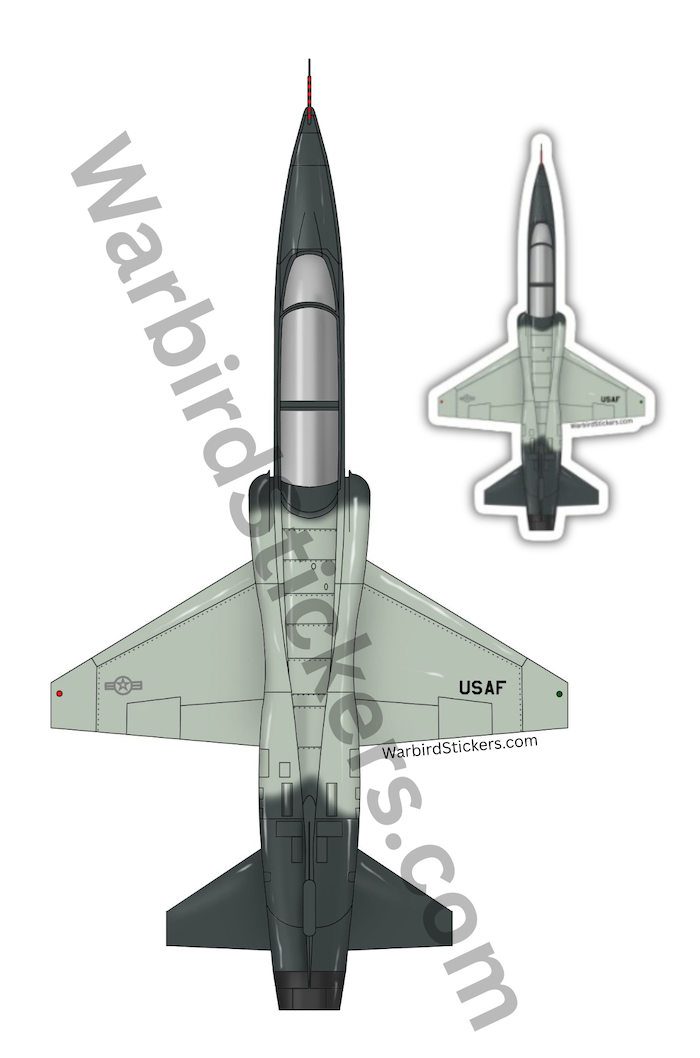 T-38 Grey Scheme