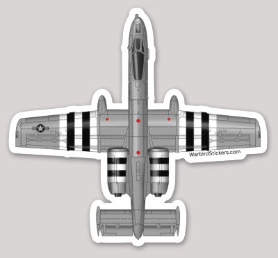 A-10 Warthog Grey w/Stripes