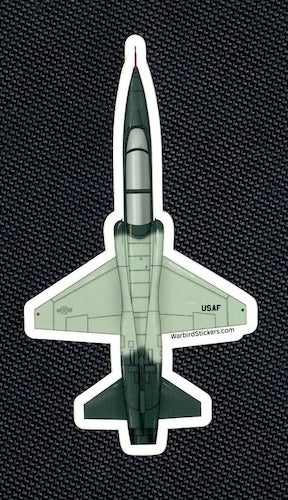 T-38 Grey Scheme
