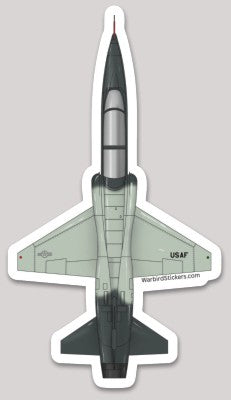 T-38 Grey Scheme